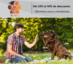 Academia Mascotas Go