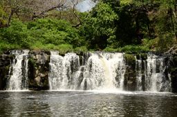 Ponderosa Half Day (Safari + Almuerzo + Catarata $60.80 Por Persona) 