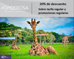 Ponderosa Adventure Park 