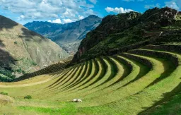 AMANECER EN VALLE SAGRADO Y MACHU PICCHU *BOLETO INCLUIDO* DESDE $2,099