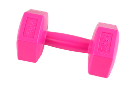 Elle mancuerna dumbbell fucsia 1.5KG