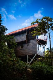 Casa tucán - Cabaña la guarumo (₡55.000 la noche en ocupación doble)