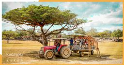 Ponderosa Adventure Park 