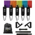 Kit de Ligas de Resistencia Everlast EVLB9W510