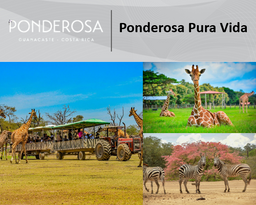 Ponderosa Pura Vida (Safari + Almuerzo $48.00 Por Persona)