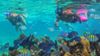 Cancún DESDE ($350) POR PERSONA Salida - Regreso